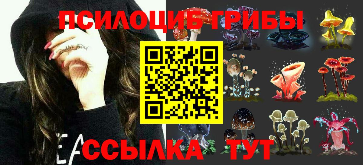 Ликино-Дулёво  Псилоцибиновые грибы прущие грибы  Вход с VPN 
